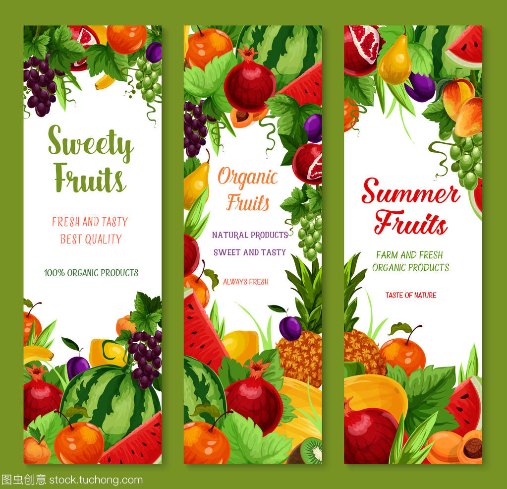 熱帶風情 新鮮水果矢量橫幅設計指南