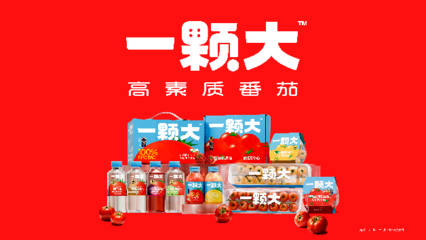 一顆大櫻桃番茄的東南亞之旅 中國蔬菜“出海”版圖再拓展