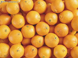 蔬果特寫(xiě)0169 鏡頭下的自然饋贈(zèng)，與色彩的味覺(jué)遐想